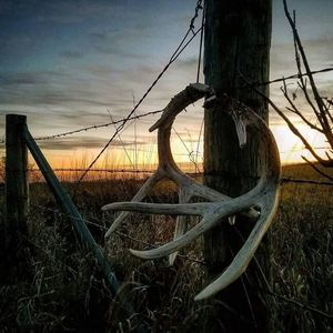 Meet your Posher, Joseph